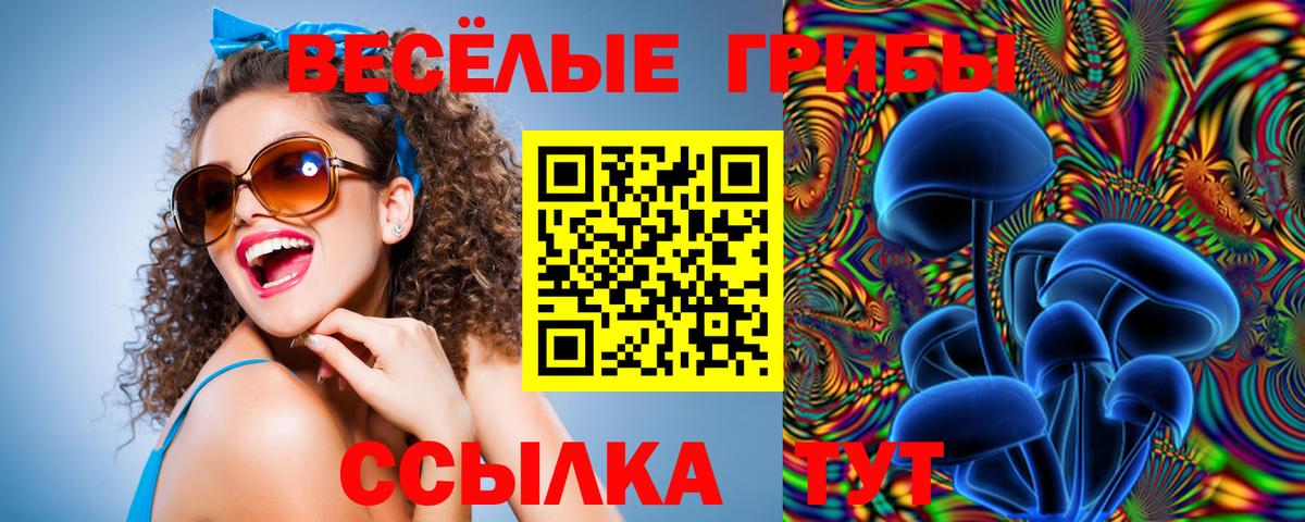 Галлюциногенные грибы Magic Shrooms Унеча
