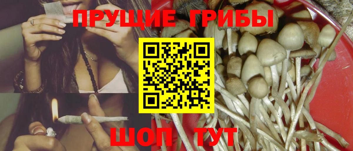 Унеча  Галлюциногенные грибы Cubensis  Вход с VPN 
