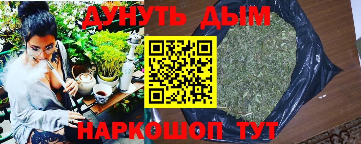 Бошки Шишки ГИДРОПОН  МАРИХУАНА планчик  Унеча  Вход с VPN 